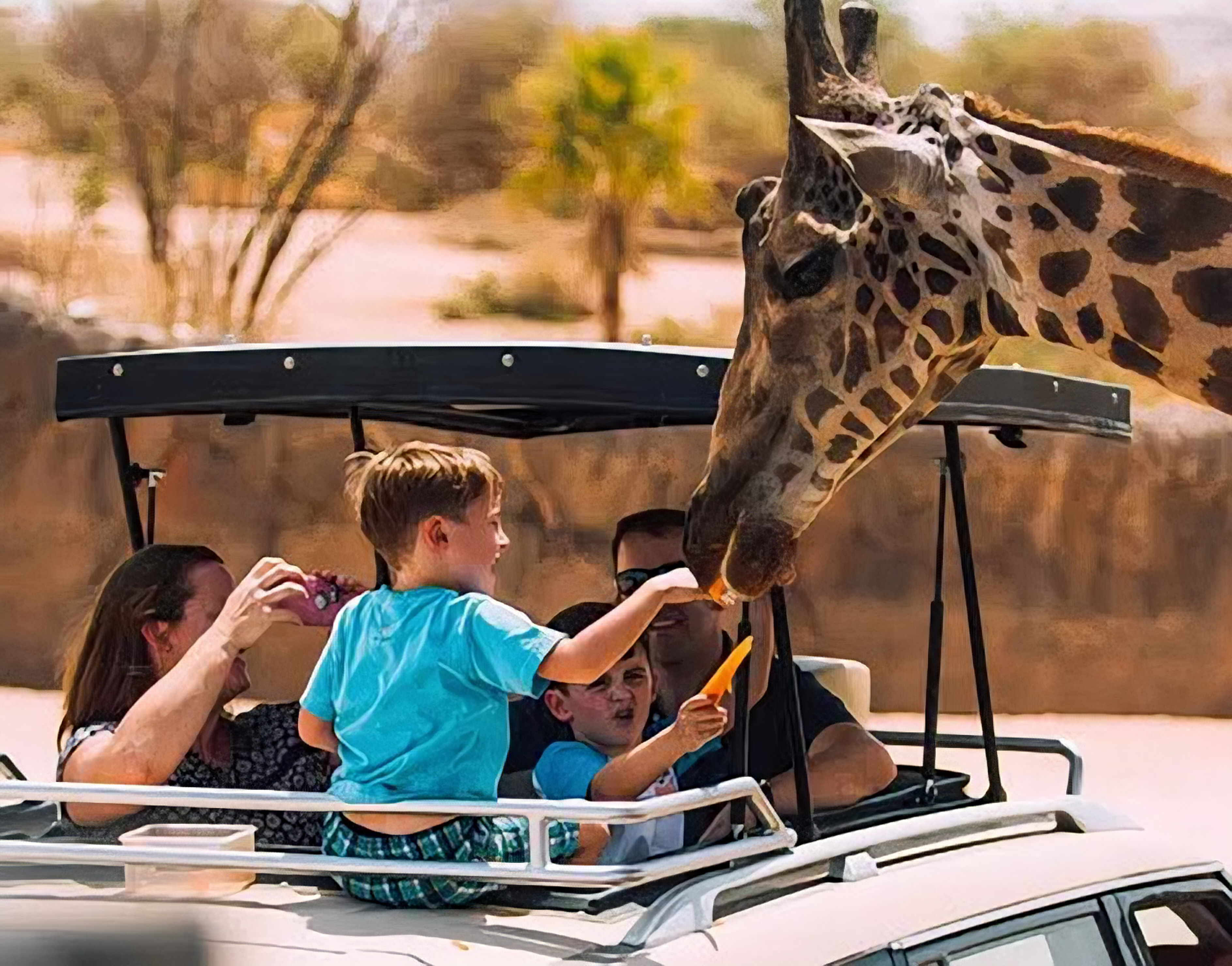Al Ain Zoo