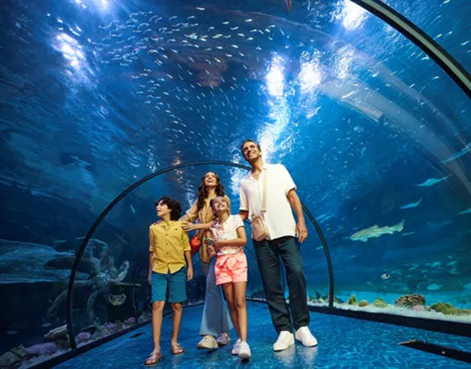 The National Aquarium