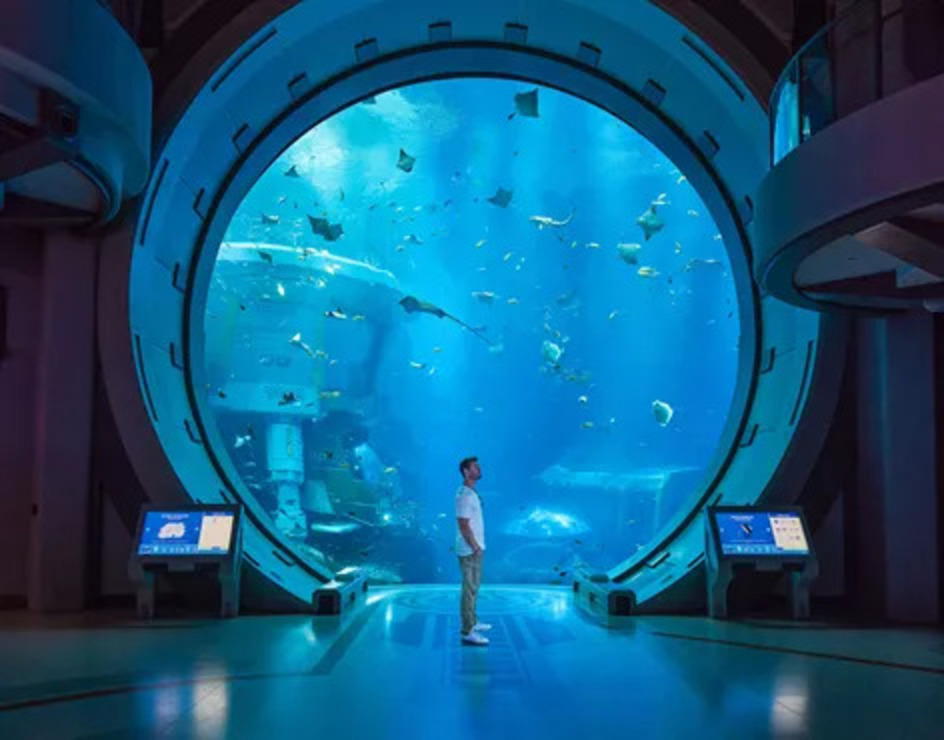 SeaWorld Yas Island